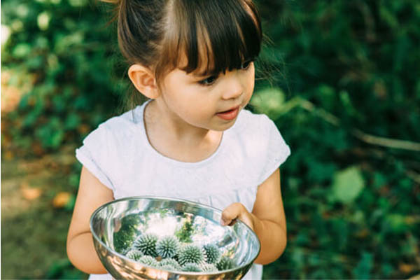 NATURE'S LITTLE AMBASSADORS